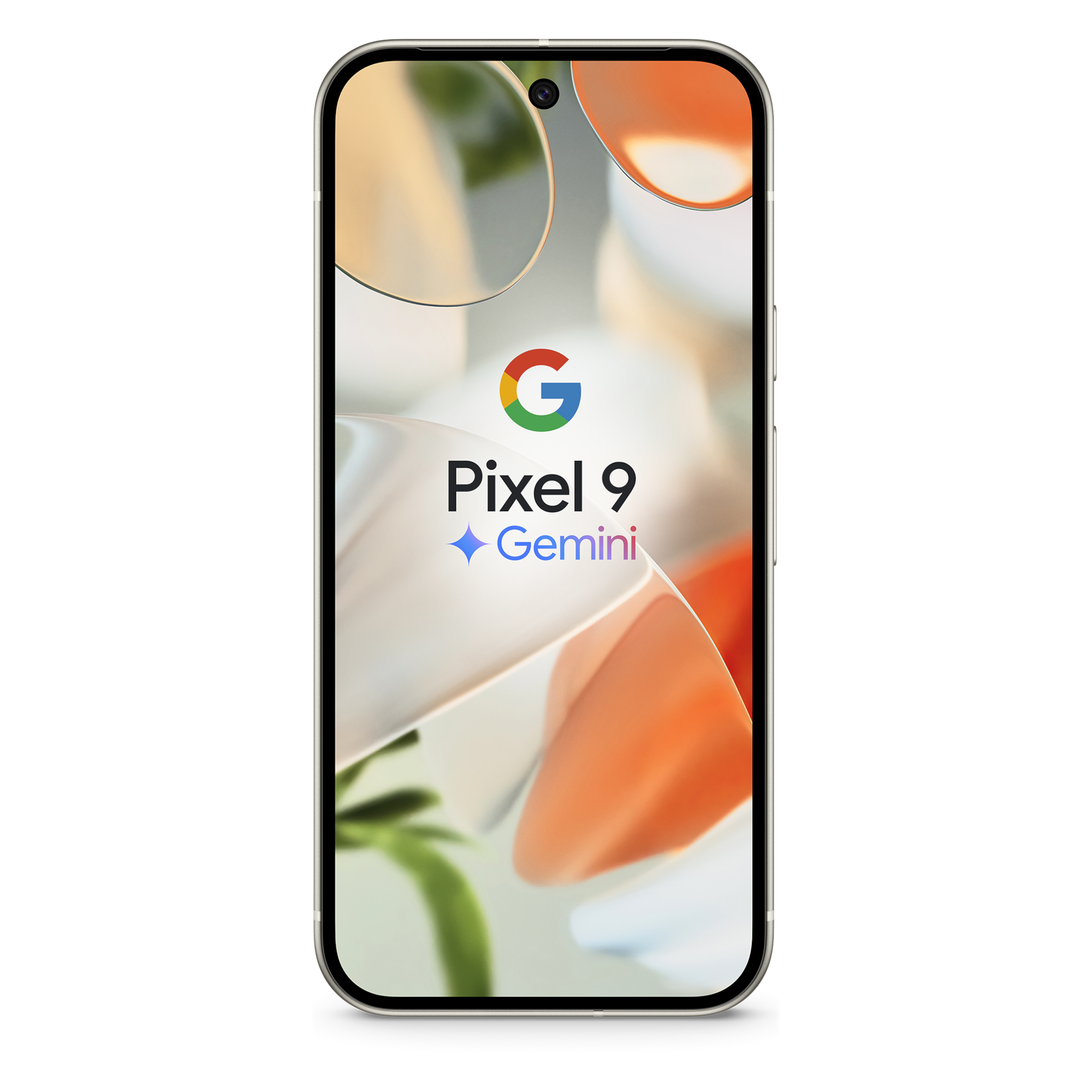 1 google pixel 9 porcelain