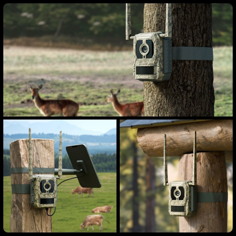 3 reolink camovue talon series s130 4g trail camera