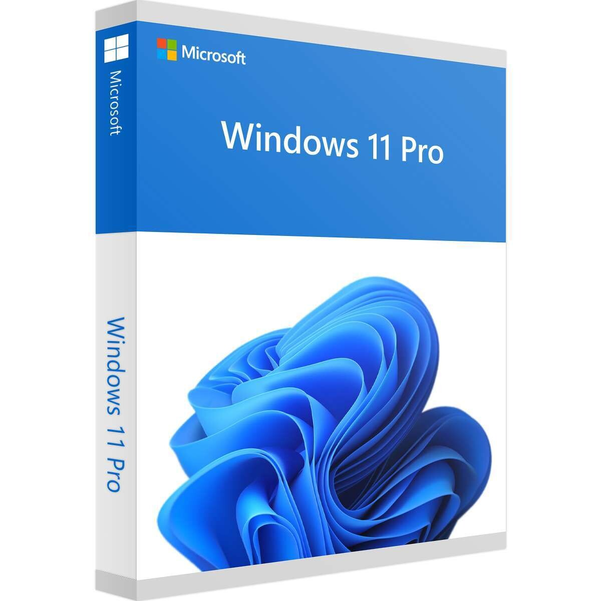 Microsoft Windows 11 Pro OEI