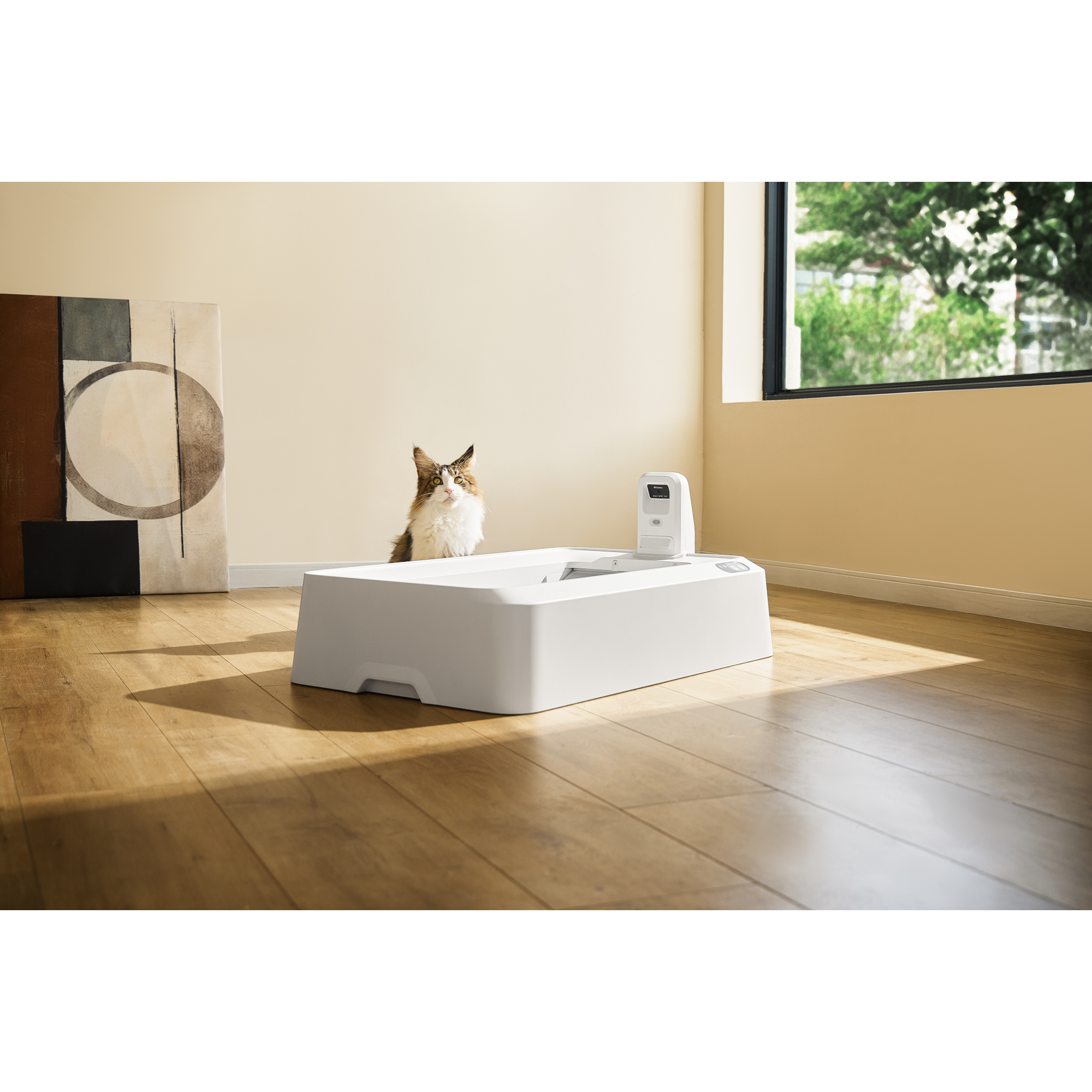 6 purobot crystal duo with camera self cleaning cat litter box white