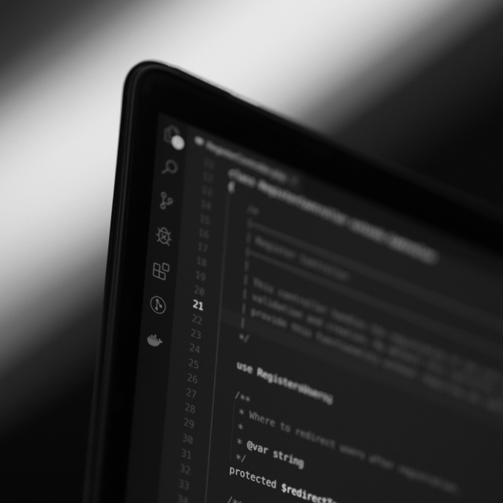 Software development